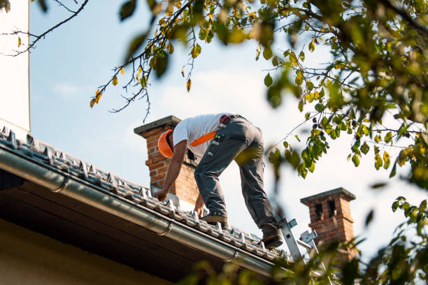 Best Storm Damage Roof Repair  in Cloverleaf, TX